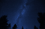Picture of night sky with the milky way in focus and trees at the bottom of the image.
