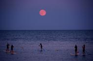 Paddleboarders below the strawberry moon at Barceloneta beach, Barcelona, Spain.