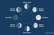 A lunar month is around 29.5 days long and encompasses all eight Moon phases starting with New to Waxing Crescent, First Quarter, Waxing Gibbous, Full, Waning Gibbous, Third Quarter, and Waning Crescent. Illustration of the eight phases of the Moon with an arrow showing the order they appear in, seen from Earth.